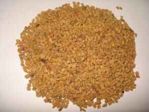 मेथी दाना ( Fenugreek Seeds)