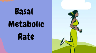 BMR Calculator – Basal Metabolic Rate Calculator