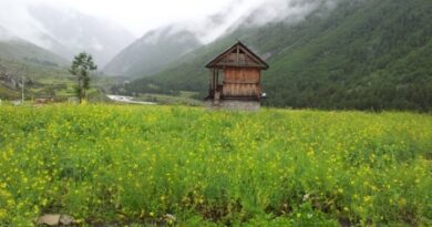 Chitkul – हिमाचल प्रदेश का छुपा हुआ सुन्दर पर्यटन स्थल