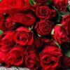 Valentine Week Day - Rose Day