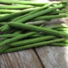 Moringa Oleifera_ drumsticks