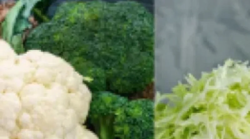 पानी में धोने पर नहीं निकलेगी फूलगोभी, पत्तागोभी में छिपे हैं कीड़े, साफ करने की ये है आसान ट्रिक, मिनटों में खुद निकल आएंगे बाहर