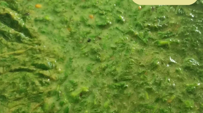 चने की यह सब्जी, जानें घर पर बनाने का आसान तरीका