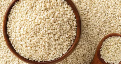 कौन सा तिल खाएं, काला या सफेद? महिलाओं के लिए सुपर फूड है तिल, पीरियड्स और मेनोपॉज में फायदेमंद