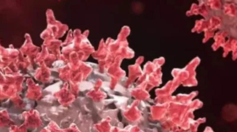 चीन में फैल रहे कथित ह्यूमन मेटान्यूमोवायरस से बचने का क्या है तरीका? अपने काम को जानें