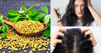 मेथी के बीज – बालों की कई समस्याओं का करता है इलाज